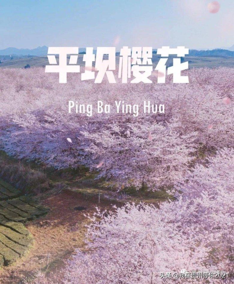 逃离世界杯现场