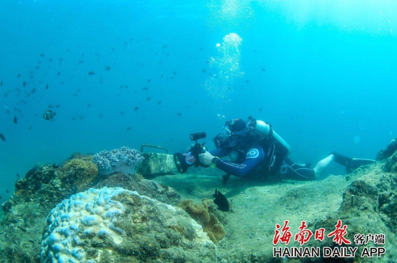 一立方米的棉花和一立方米的铁块为什么相等?-专业问答网站