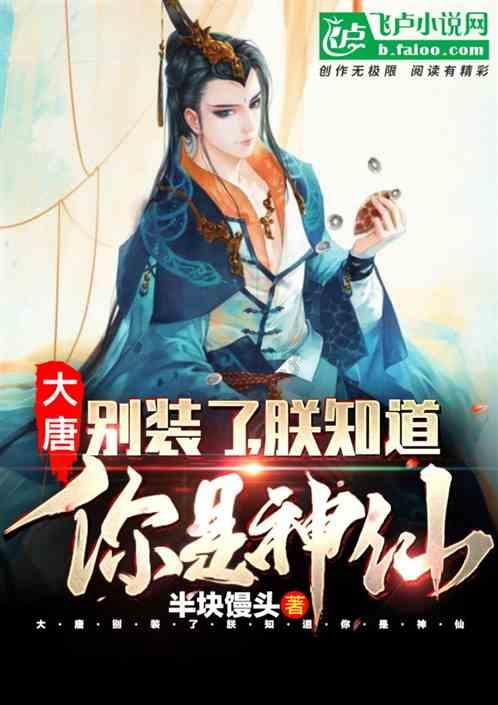 印度内政部长:印政府已决定在印缅边境修筑围墙