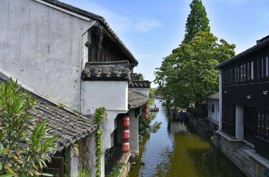 喜获丰收产销忙 森林“粮库”让中国饭碗更“丰富”