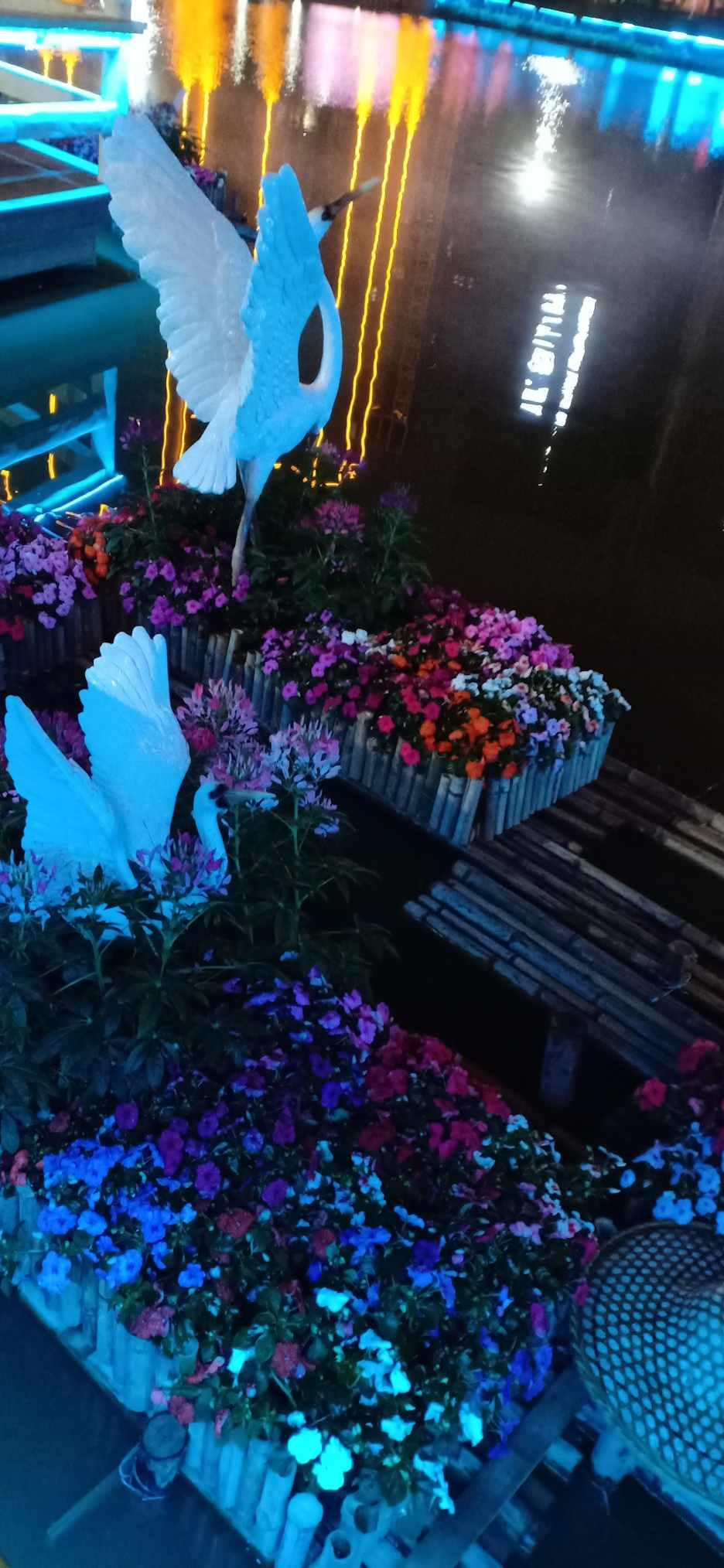 营救小乌龟